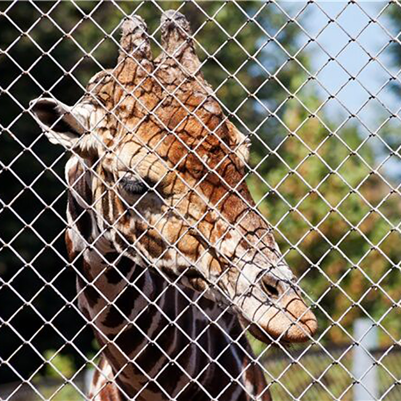 breeding fence (5)